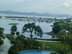 -蛇口希尔顿南海酒店·随轩中餐厅·粤菜