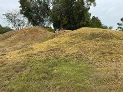 -盘龙城国家考古遗址公园