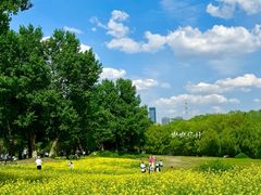 -长白岛森林公园