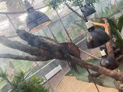 -南宫五洲植物乐园