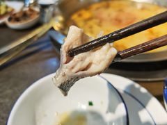 -土著渔匠·养生蝴蝶鱼(香樟路店)