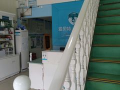 -爱贝特动物医院·猫口炎专科