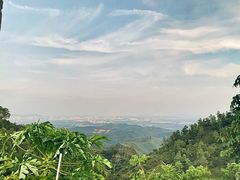 -山景山庄