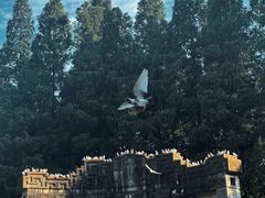 -灵谷景区