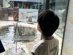 -廊坊固安福朋喜来登酒店