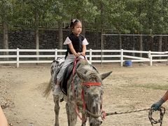 -西部长青自然儿童乐园