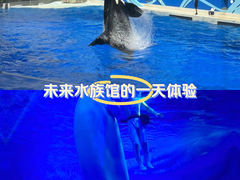 -上海海昌海洋公园