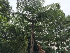 -西南交通大学(峨眉校区)