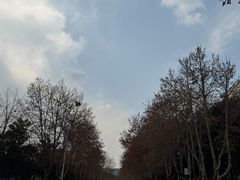 -西南交通大学(九里校区)