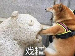 -中国移动(七莘路营业厅)