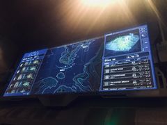 -奥兰多迪士尼动物王国乐园