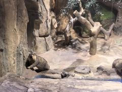 -正佳雨林生态植物园