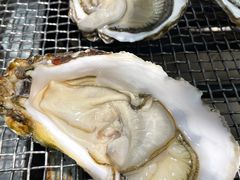 -蚝英雄鲜蚝自助专门店(长楹天街直营店)