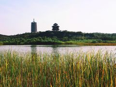 -永定河休闲森林公园