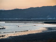 -北岐滩涂