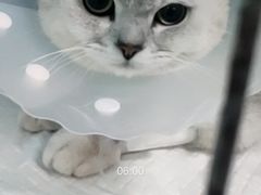 -达爱动物医院·犬猫分区·CT·复杂眼科(远洋山水分院)
