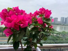 -福州天元国际威斯汀酒店·中国元素餐厅
