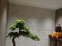 -华夏良子·足道SPA艾灸(胜利路店)