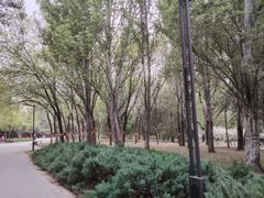 -元大都城垣遗址公园