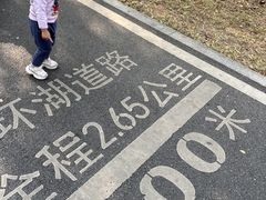 -海珠湖公园