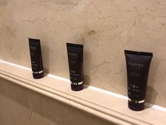 -广州富力丽思卡尔顿酒店