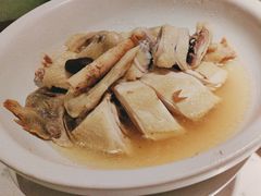 -大榕树下顺德菜(融创茂店)