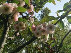 -荆川公园