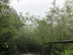 -香山公园