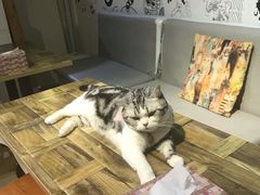 -小时光咖啡馆(开森度假森林店)