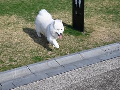 -上海月湖雕塑公园
