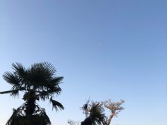 -天王浮山樱花园