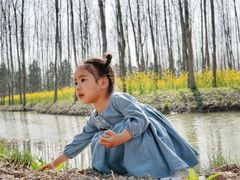 -合肥滨湖国家森林公园