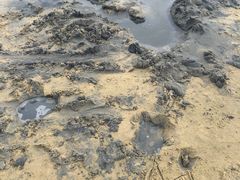 -碧海金沙