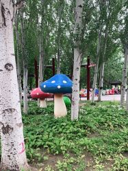 -大望京儿童游乐场