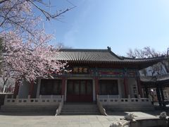 -桃花堤公园