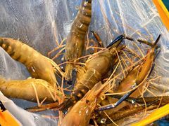-粤盛海鲜平价店(洛溪食街店)