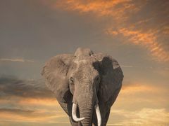 -南昌之星游乐场