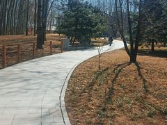 -仁和公园(顺义区)