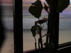 -MEDISN·药厂