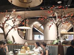 -佬肥猫(国华广场店)