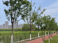 -永定河休闲森林公园