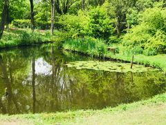 -上海共青森林公园