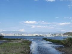 -洱海月湿地公园