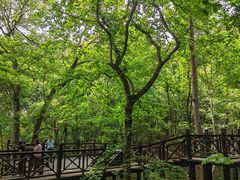 -虞山风景区