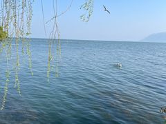 -大理洱海