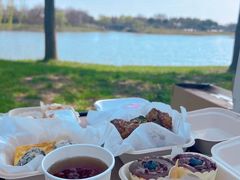 -贡湖湾湿地公园