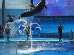 -海合安成都极地海洋公园