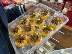 -上海市第一医药商店(南京东路店)