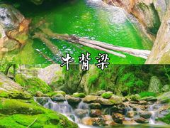 -牛背梁国家森林公园