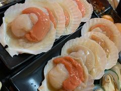 扇贝-丽江庭院之爱在路上(西单店)
